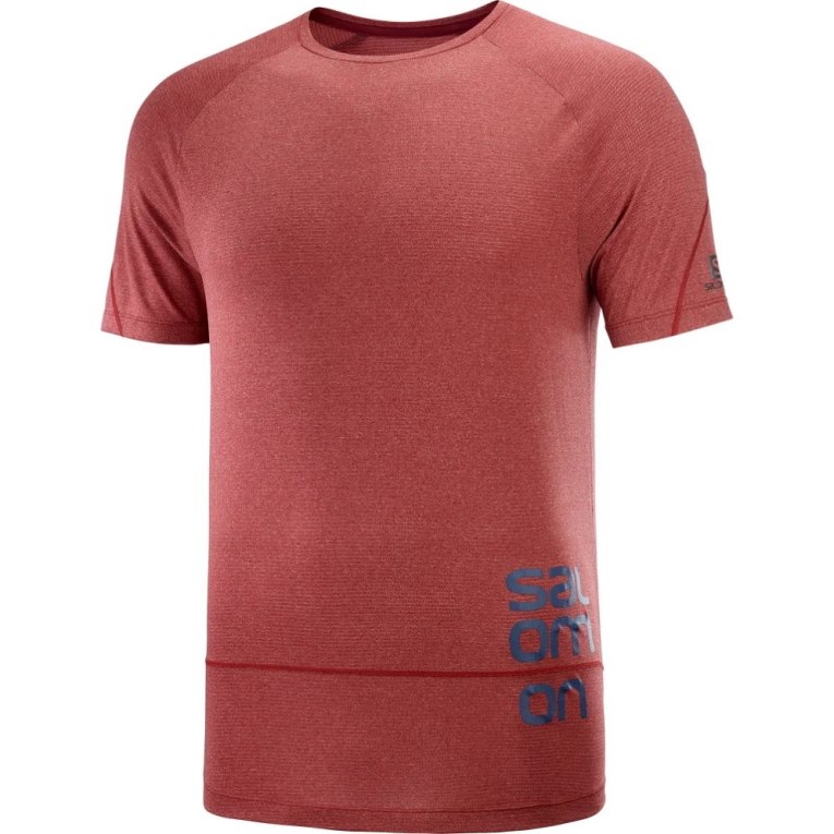 Camiseta Salomon Cross Run Estampados Corta Sleeve Hombre Rojos Oscuro | MX ECUD295